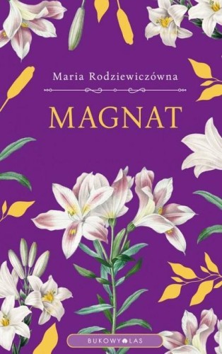 Magnat, Maria Rodziewiczówna