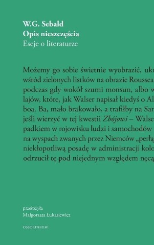 Opis nieszczęścia. Eseje o literaturze