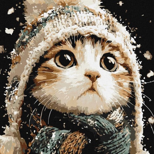 Malowanie po numerach -Śnieżny kotek 40x40cm