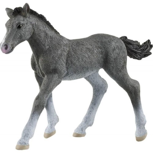 Źrebię rasy trakeńskiej, SCHLEICH