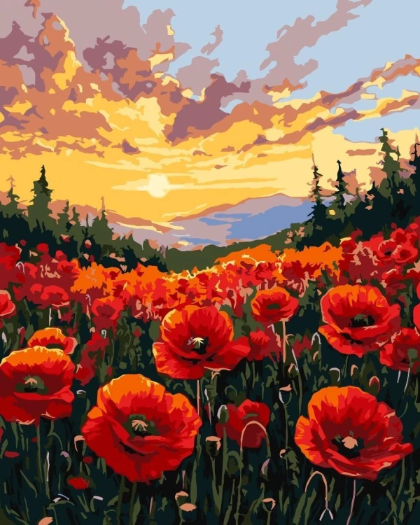 Malowanie po numerach - Pole maków 40x50cm, Ideyka