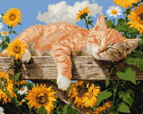 Malowanie po numerach - W objęciach wiosny 40x50cm