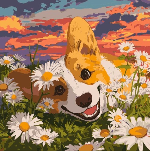 Malowanie po numerach - Corgi w stokrotka 40x40cm
