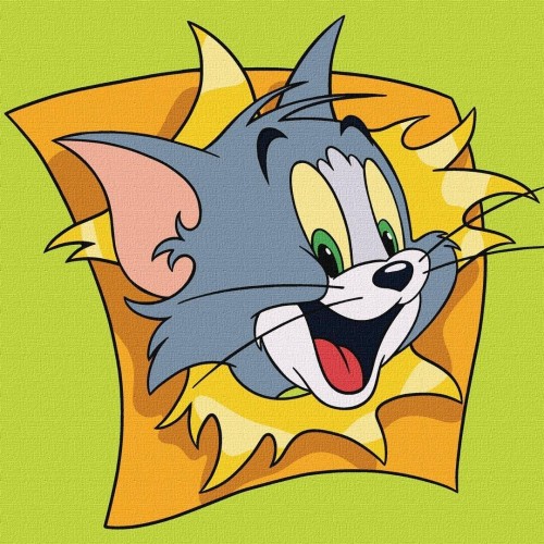 Malowanie po numerach - Tom i Jerry 25x25cm