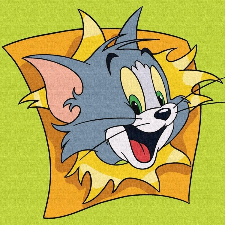 Malowanie po numerach - Tom i Jerry 25x25cm