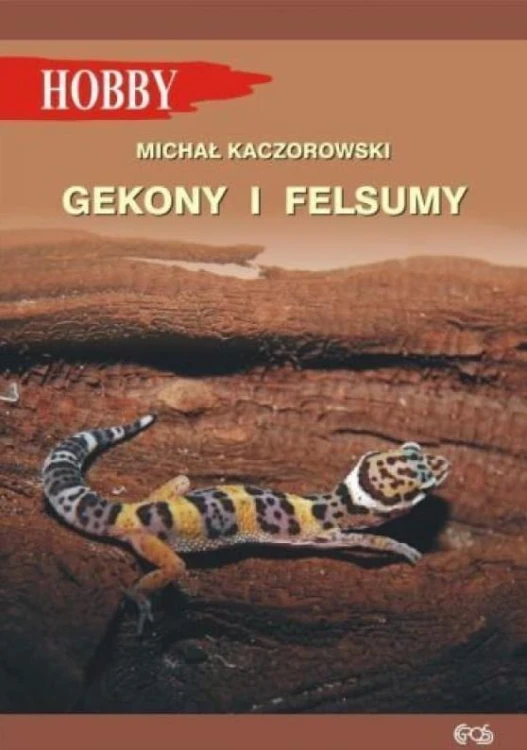 Gekony I Felsumy w.3, Michał Kaczorowski