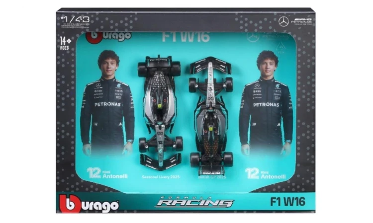Formula (Without Helmet & Stand) 1:43