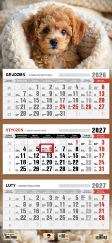 Kalendarz 2027 trójdzielny piesek