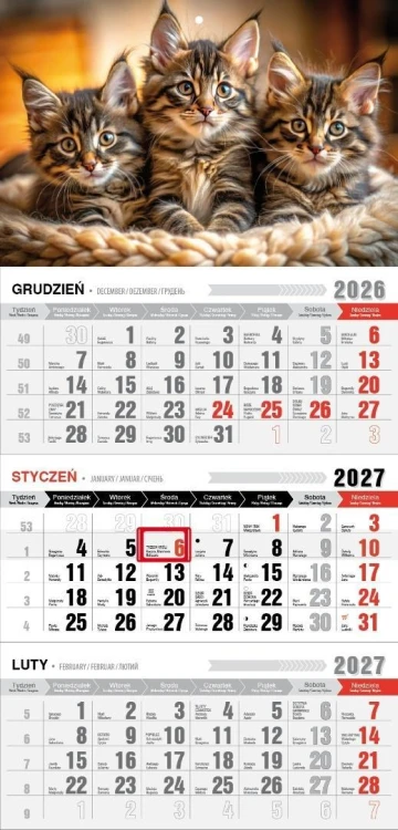 Kalendarz 2027 trójdzielny ekonomiczny kotki