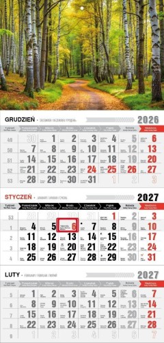 Kalendarz 2027 trójdzielny ekonomiczny las