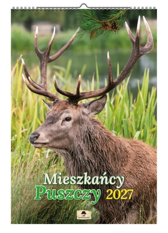 Kalendarz 2027 A3 ścienny mieszkańcy puszczy