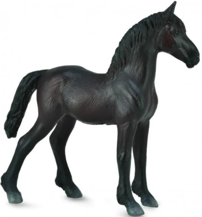 Źrebię Friesian Foal czarne, Collecta