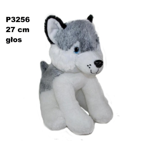 Pies husky z głosem 24cm, Sun-Day
