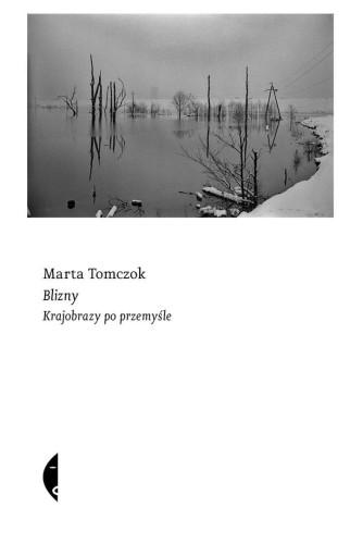 Blizny. Krajobrazy po przemyśle, Marta Tomczok