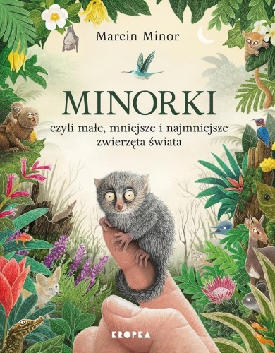 Minorki, czyli małe, mniejsze i najmniejsze...