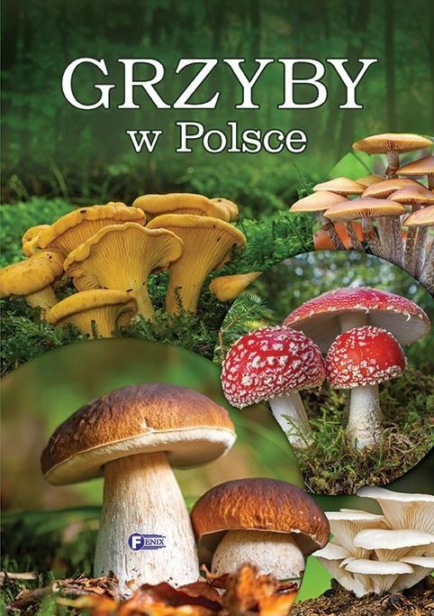 Grzyby w Polsce, praca zbiorowa