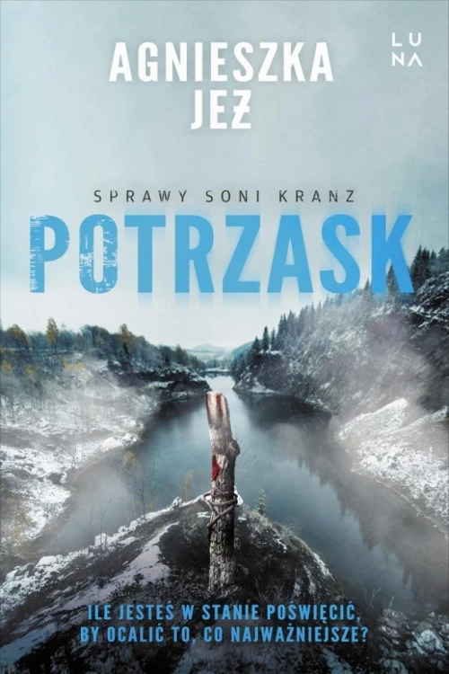 Sprawy Soni Kranz T.4 Potrzask, Agnieszka Jeż