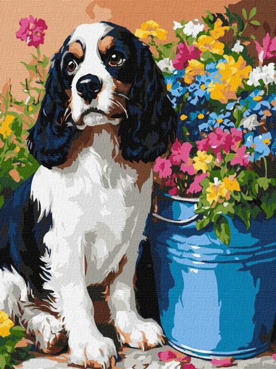 Malowanie po numerach - Uroczy spaniel 30x40cm