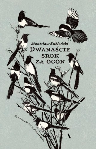 Dwanaście srok za ogon, Stanisław Łubieński