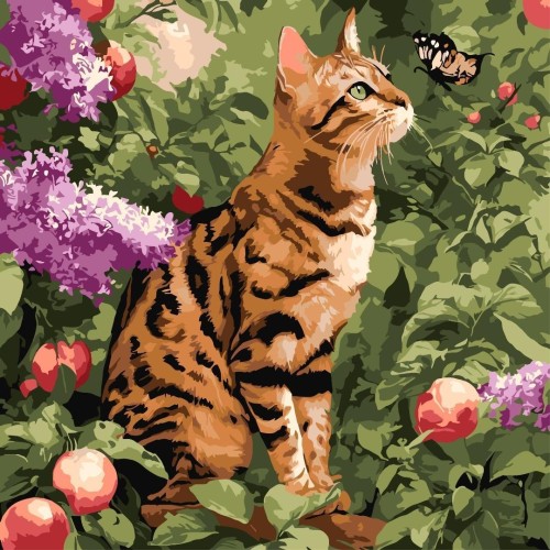 Malowanie po numerach - Kot bengalski 40x40cm
