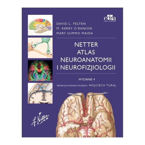 Atlas neuroanatomii i neurofizjologii Nettera w.4