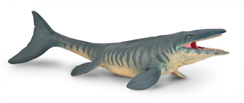 Tylozaur, Collecta