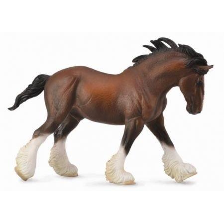 Ogier Clydesdale maści Bay, Dante