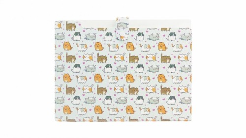 Teczka A4 PP harmonijkowa nadruk kittens, Biurfol