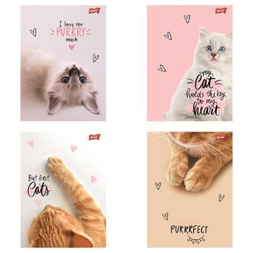 Zeszyt A5/60k linia Purrfect Moments (10szt)
