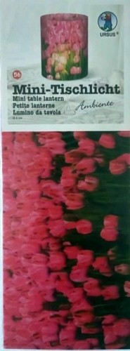 Mini lampiony Ambiente 5 arkuszy 10x27cm