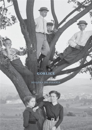Gorlice. Książka do pisania, Janusz Sepioł