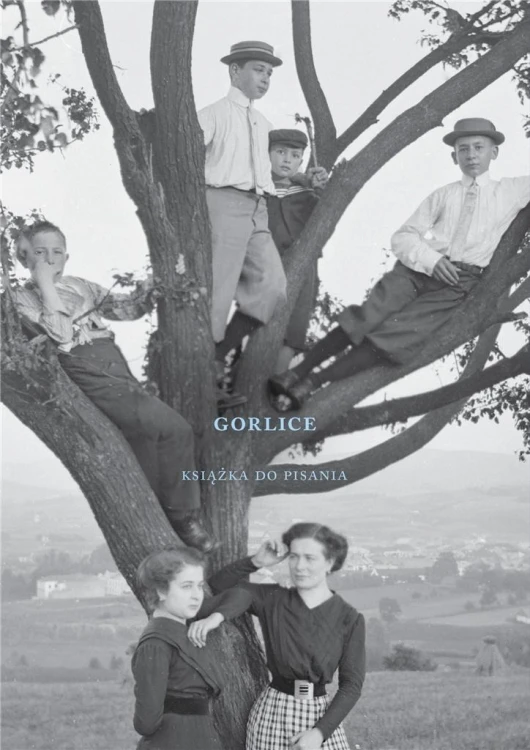 Gorlice. Książka do pisania, Janusz Sepioł