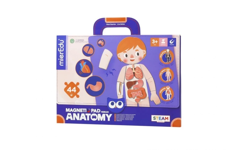 Magnetyczna podkładka - Anatomia człowieka