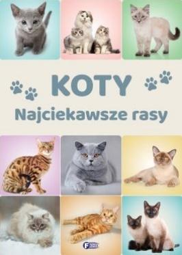 Koty. Najciekawsze rasy, praca zbiorowa