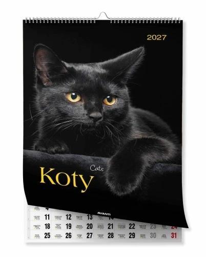 Kalendarz 2027 ścienny A3 Koty