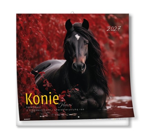 Kalendarz 2027 ścienny 30x30cm Konie