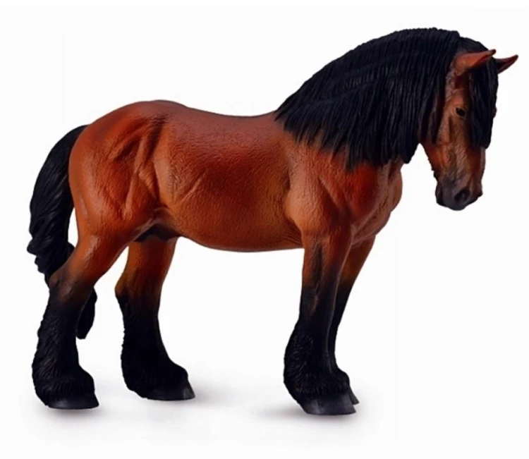 Koń ardeński maści gniadej, Collecta