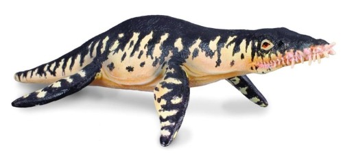Dinozaur Liopleurodon, Collecta