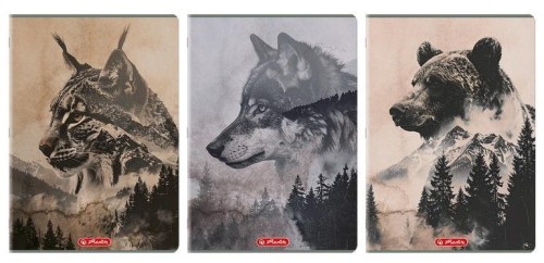 Zeszyt A4/96K kratka Wild (5szt) HERLITZ, HERLITZ