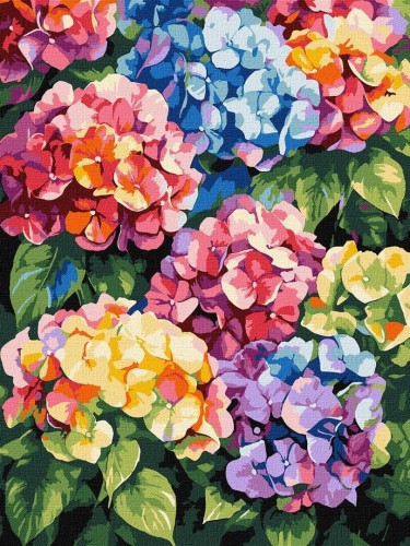 Malowanie po numerach - Wielokolorowe hortensje