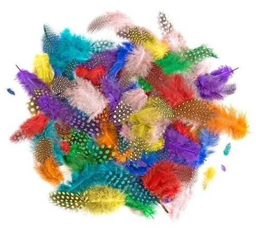 Piórka bażanta 4-7cm 10g brights, Dalprint dpCraft