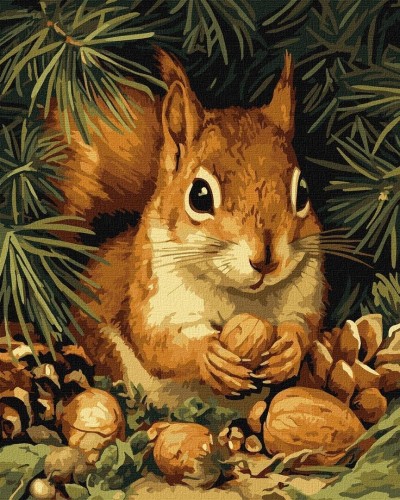 Malowanie po numerach - Wiewiórka 40x50cm, Ideyka