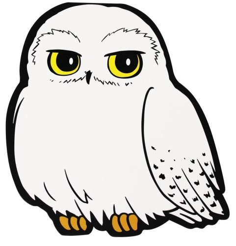 Harry Potter Notes - Hedwiga, Half Moon Bay