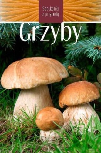 Grzyby. Spotkania z przyrodą, Marek Snowarski