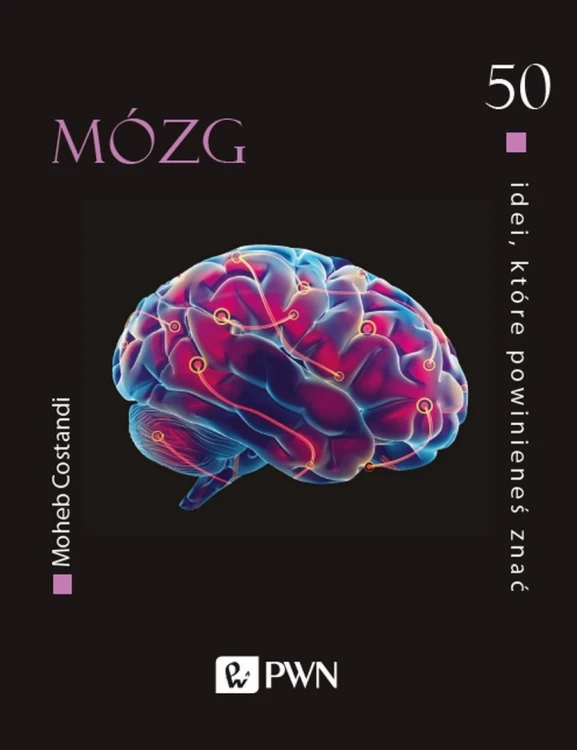 50 idei, które powinieneś znać. Mózg