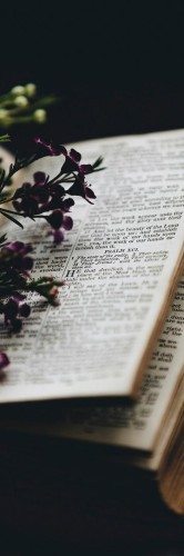 Zakładka do książki Biblia, Skona Ting