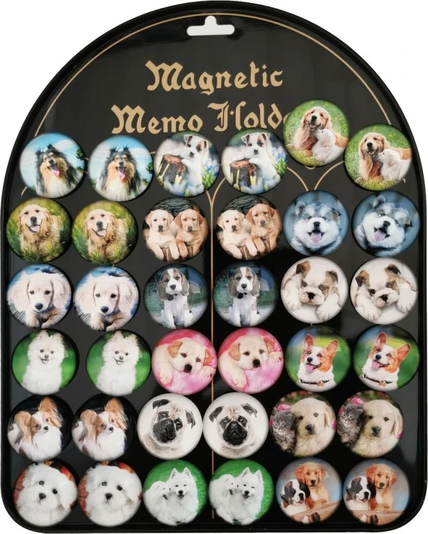 Magnesy psy 3,5cm 36szt, Aliga