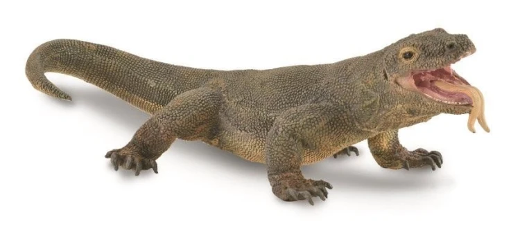 Waran z komodo, Collecta