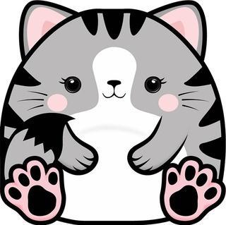 Karnet Uniwersalny - Chonky Cat