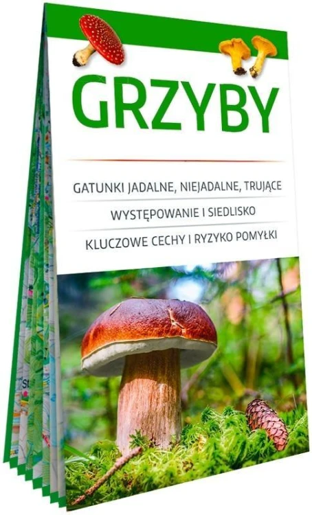 Grzyby. Poręczny, laminowany miniprzewodnik